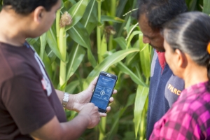 FAO and Korea Telecom team up to advance digital agricultural innovation